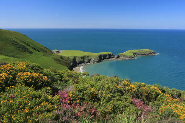 Attractions, things to do in and around Ceredigion in Wales